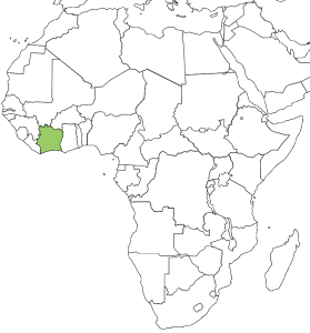 cote divoire