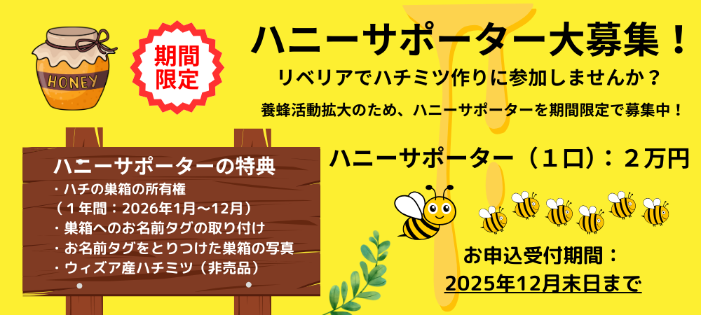 Honey supporter eye catch image